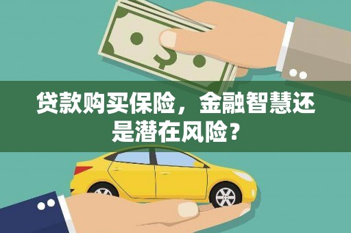 合浦贷款购买保险，金融智慧还是潜在风险？