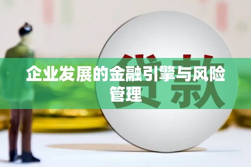 合浦企业发展的金融引擎与风险管理