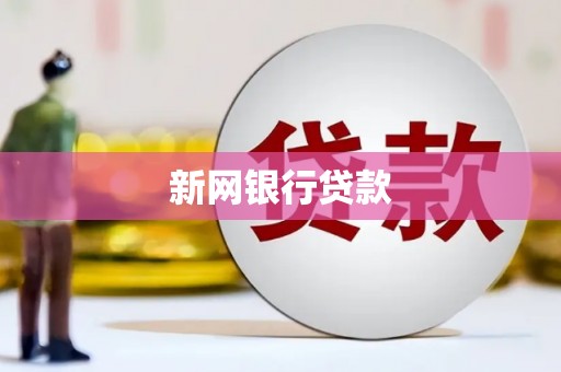 合浦新网银行贷款