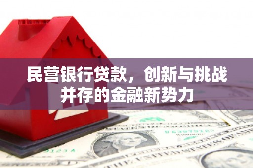 合浦民营银行贷款，创新与挑战并存的金融新势力
