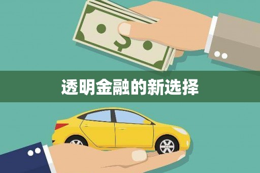 合浦透明金融的新选择