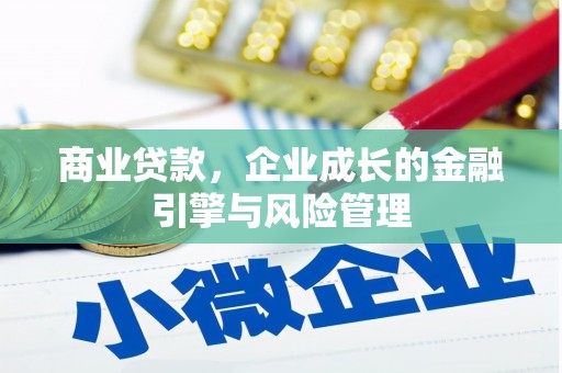 合浦商业贷款，企业成长的金融引擎与风险管理