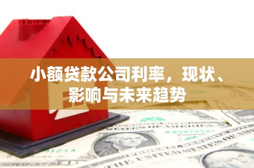 合浦小额贷款公司利率，现状、影响与未来趋势