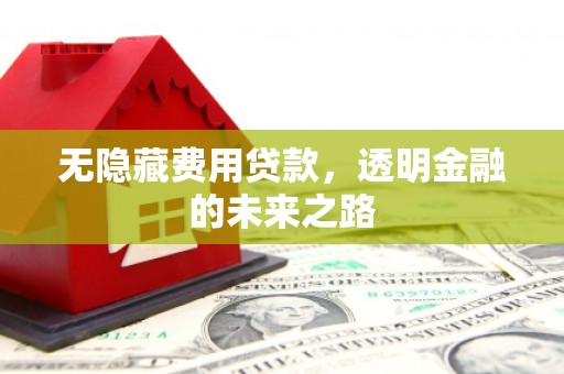 合浦无隐藏费用贷款，透明金融的未来之路