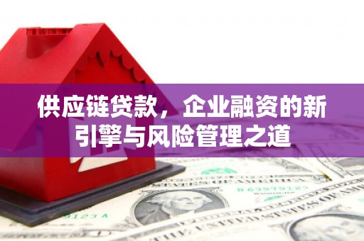 合浦供应链贷款，企业融资的新引擎与风险管理之道