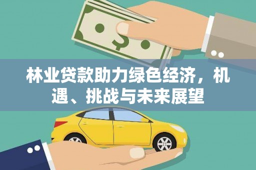 合浦林业贷款助力绿色经济，机遇、挑战与未来展望