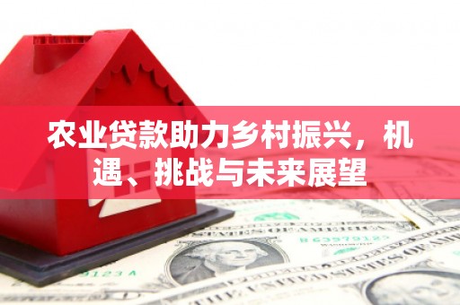 合浦农业贷款助力乡村振兴，机遇、挑战与未来展望