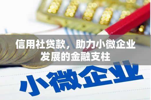 合浦信用社贷款，助力小微企业发展的金融支柱