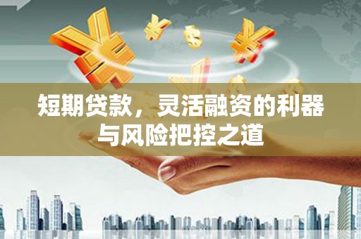 合浦短期贷款，灵活融资的利器与风险把控之道