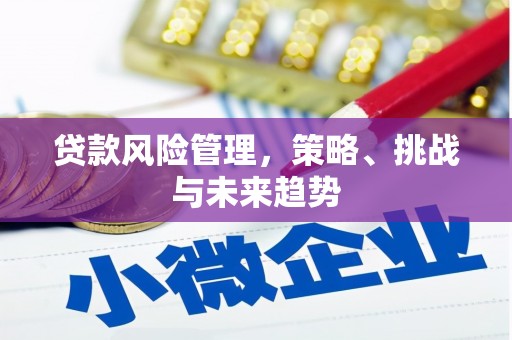 合浦贷款风险管理，策略、挑战与未来趋势