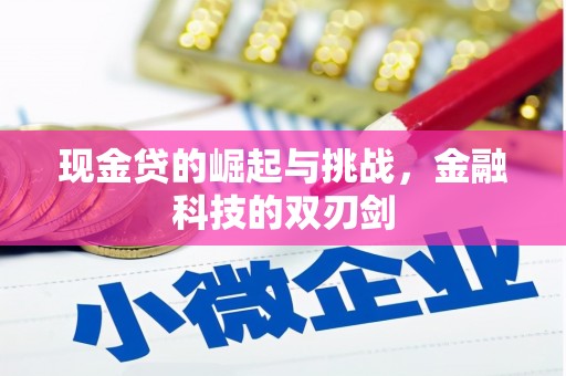 合浦现金贷的崛起与挑战，金融科技的双刃剑