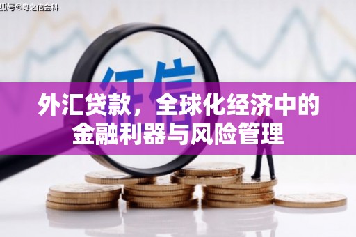 合浦外汇贷款，全球化经济中的金融利器与风险管理
