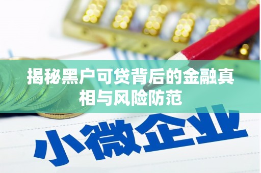 合浦揭秘黑户可贷背后的金融真相与风险防范