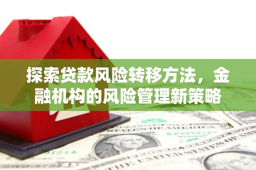 合浦探索贷款风险转移方法，金融机构的风险管理新策略