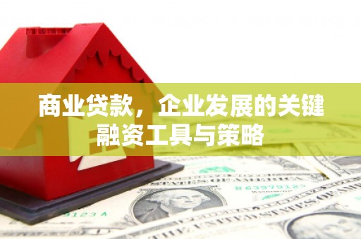 合浦商业贷款，企业发展的关键融资工具与策略