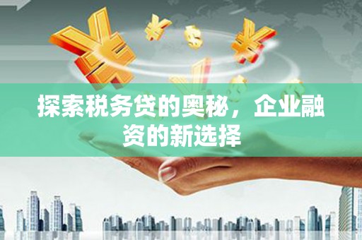 合浦探索税务贷的奥秘，企业融资的新选择