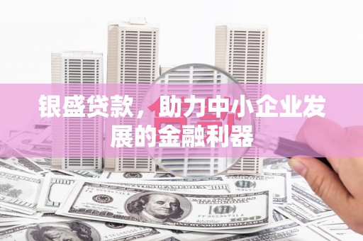 合浦银盛贷款，助力中小企业发展的金融利器