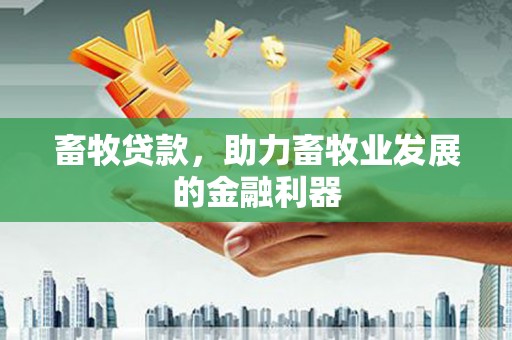 合浦畜牧贷款，助力畜牧业发展的金融利器