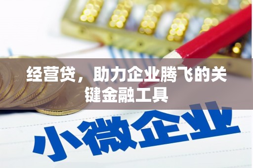 合浦经营贷，助力企业腾飞的关键金融工具