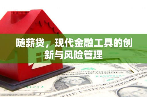 合浦随薪贷，现代金融工具的创新与风险管理