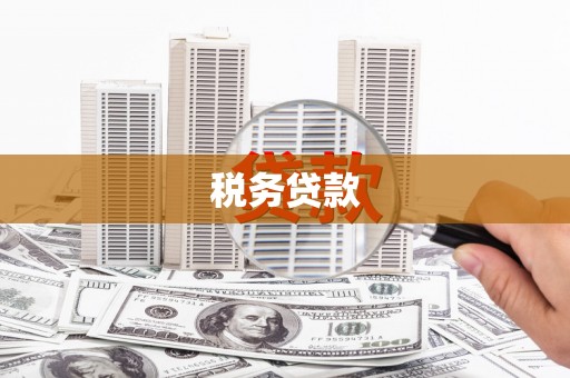 合浦税务贷款