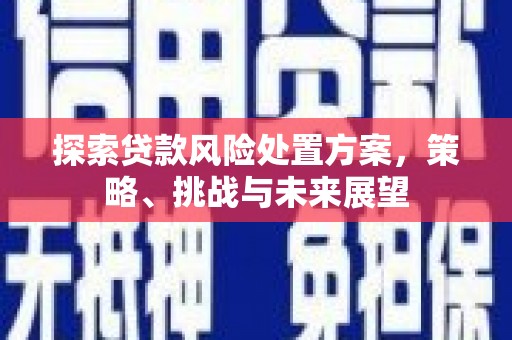 合浦探索贷款风险处置方案，策略、挑战与未来展望