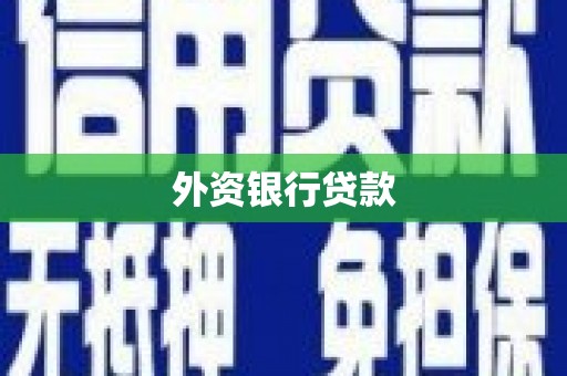 合浦外资银行贷款