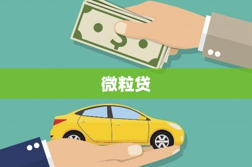 合浦微粒贷