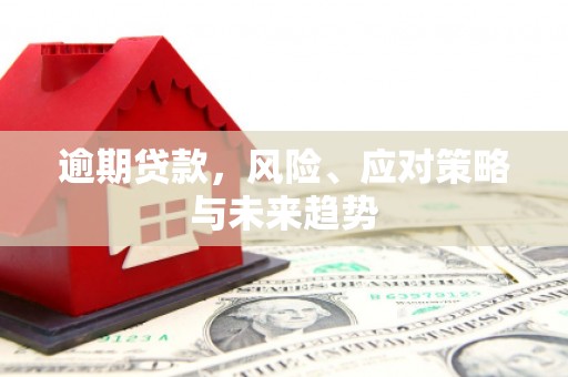 合浦逾期贷款，风险、应对策略与未来趋势