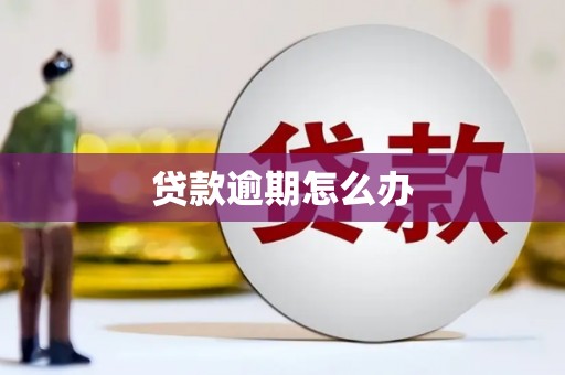 合浦贷款逾期怎么办