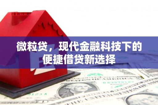 合浦微粒贷，现代金融科技下的便捷借贷新选择