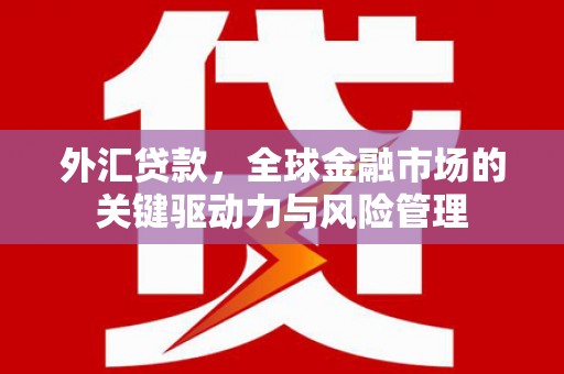 合浦外汇贷款，全球金融市场的关键驱动力与风险管理