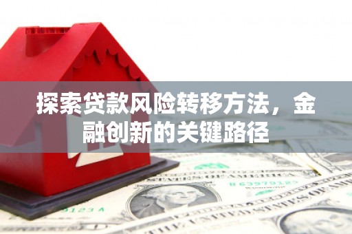 合浦探索贷款风险转移方法，金融创新的关键路径