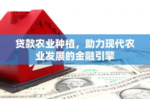 合浦贷款农业种植，助力现代农业发展的金融引擎