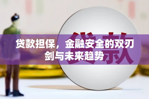 合浦贷款担保，金融安全的双刃剑与未来趋势