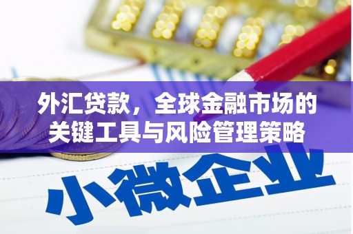 合浦外汇贷款，全球金融市场的关键工具与风险管理策略