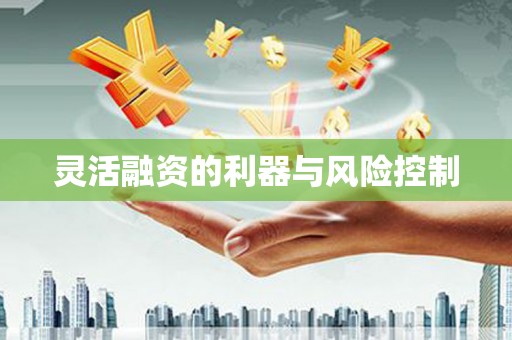 合浦灵活融资的利器与风险控制