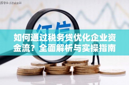 合浦如何通过税务贷优化企业资金流？全面解析与实操指南