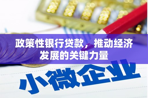 合浦政策性银行贷款，推动经济发展的关键力量