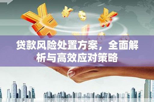 合浦贷款风险处置方案，全面解析与高效应对策略