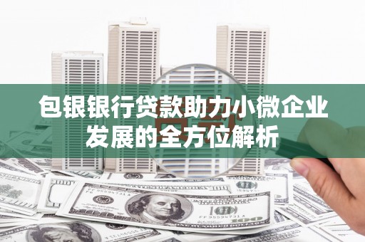 合浦包银银行贷款助力小微企业发展的全方位解析