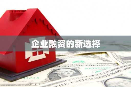 合浦企业融资的新选择