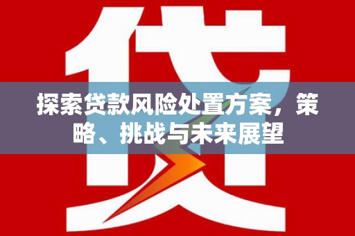 合浦探索贷款风险处置方案，策略、挑战与未来展望