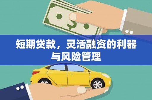 合浦短期贷款，灵活融资的利器与风险管理