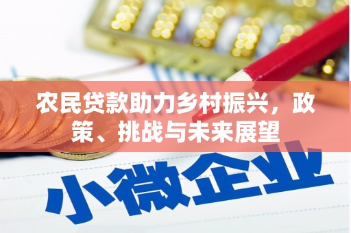 合浦农民贷款助力乡村振兴，政策、挑战与未来展望