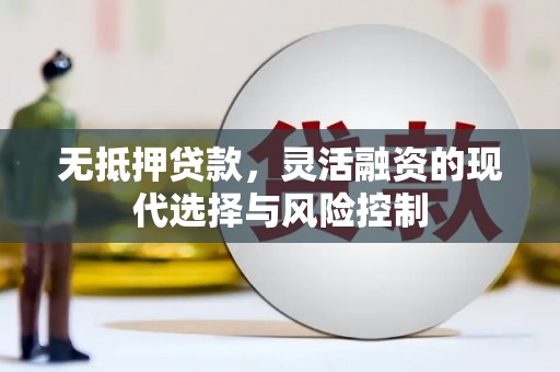 合浦无抵押贷款，灵活融资的现代选择与风险控制