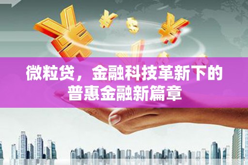 合浦微粒贷，金融科技革新下的普惠金融新篇章