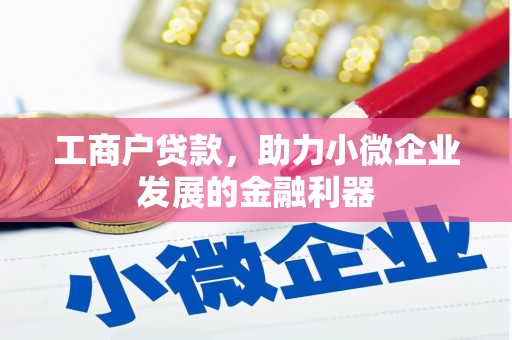 合浦工商户贷款，助力小微企业发展的金融利器