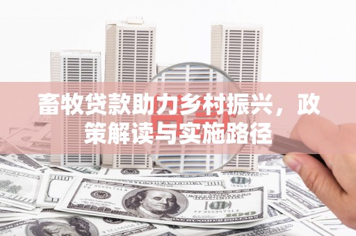 合浦畜牧贷款助力乡村振兴，政策解读与实施路径