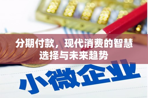 合浦分期付款，现代消费的智慧选择与未来趋势